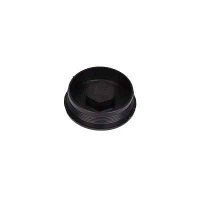 Plastic Cap