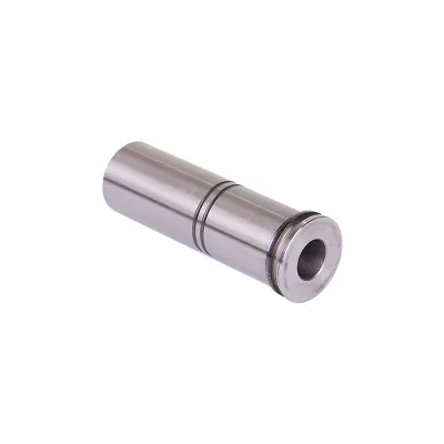 دبوس دليل (طويل) Ø31 / 117 mm
