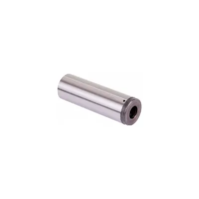 دبوس دليل (طويل) Ø38 / 118 mm